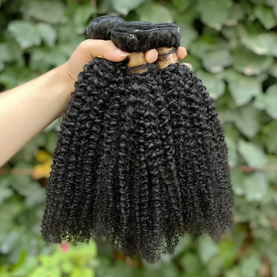 Brazilian Afro Kinky Curly Hair Extensions: Premium Quality Natural Wave